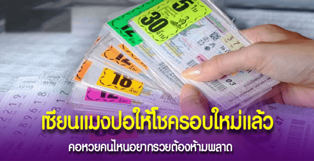 เลขสวยจากเซียน “แมงปอ” นำโชคพารวย
