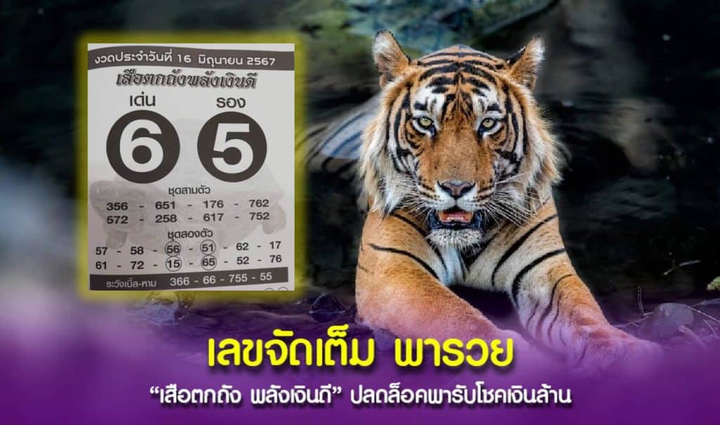 เปิด “เลขเด็ด” เซียนเสือตกถังพลังเงินดี ห้ามพลาด