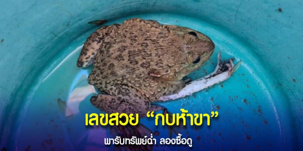 ยายสำเนียง เจอ กบห้าขา
