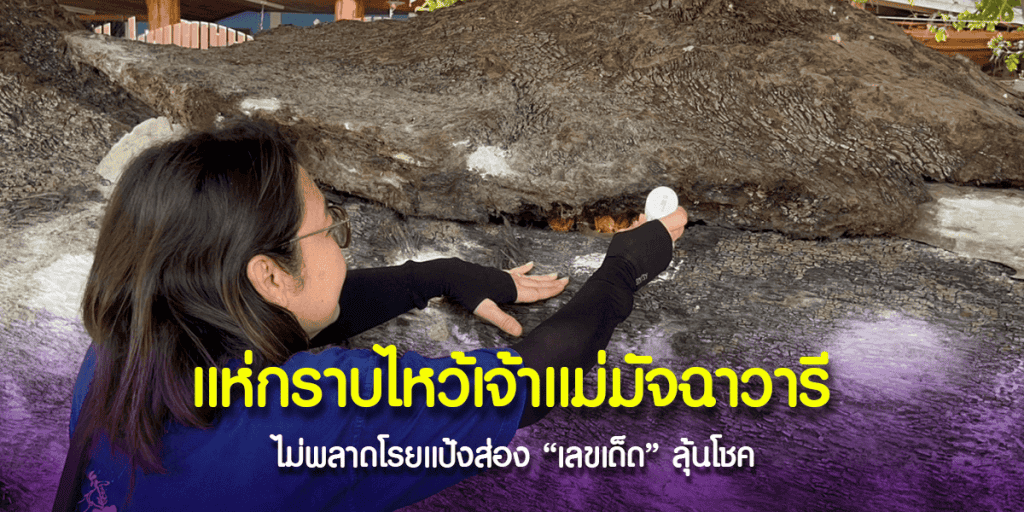 เลขเด็ด เจ้าแม่มัจฉาวารี
