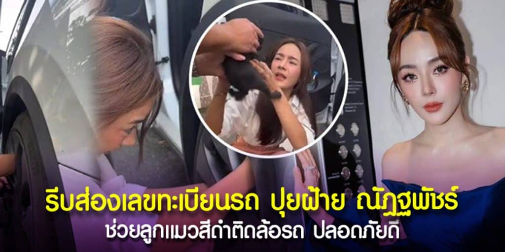 ปุยฝ้าย ช่วยลูกแมวดำเข้าล้อรถ