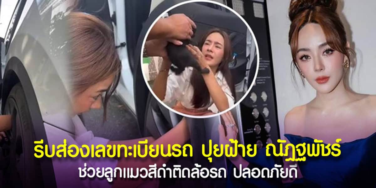 ปุยฝ้าย ช่วยลูกแมวดำเข้าล้อรถ